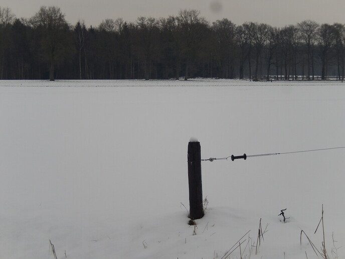 Foto’s sneeuw: Dag 4 donderdag en Map 1 - Foto: Ingezonden foto