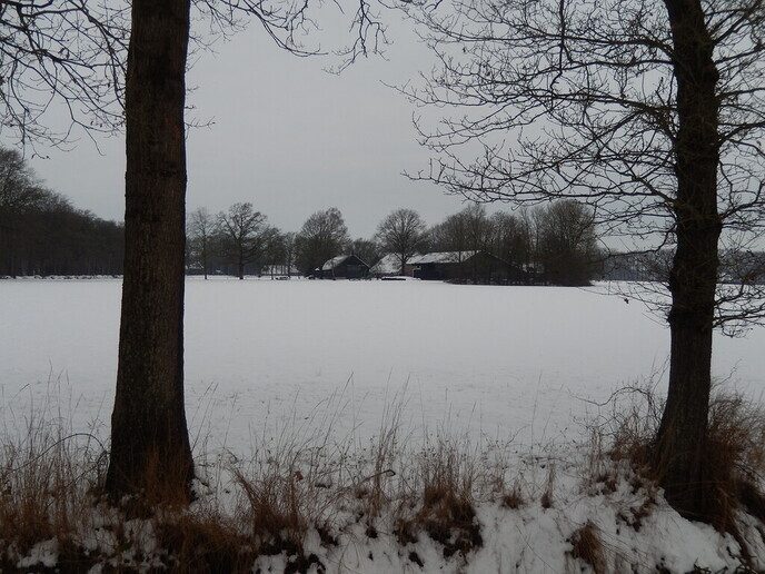 Foto’s sneeuw: Dag 4 donderdag en Map 1 - Foto: Ingezonden foto
