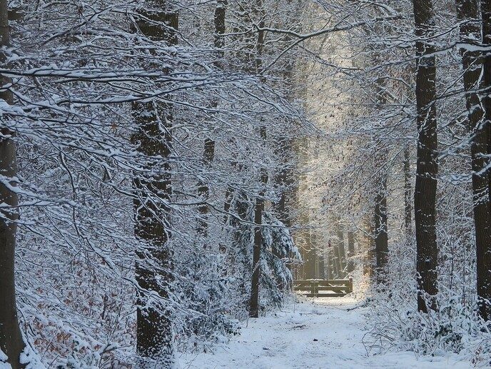 Foto’s sneeuw Dag 2 dinsdag en Map 2 - Foto: Eigen geleverde foto
