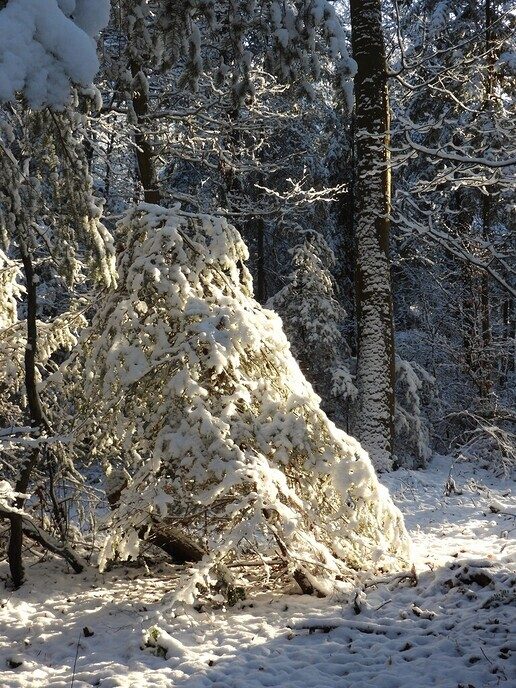 Foto’s sneeuw Dag 2 dinsdag en Map 2 - Foto: Eigen geleverde foto