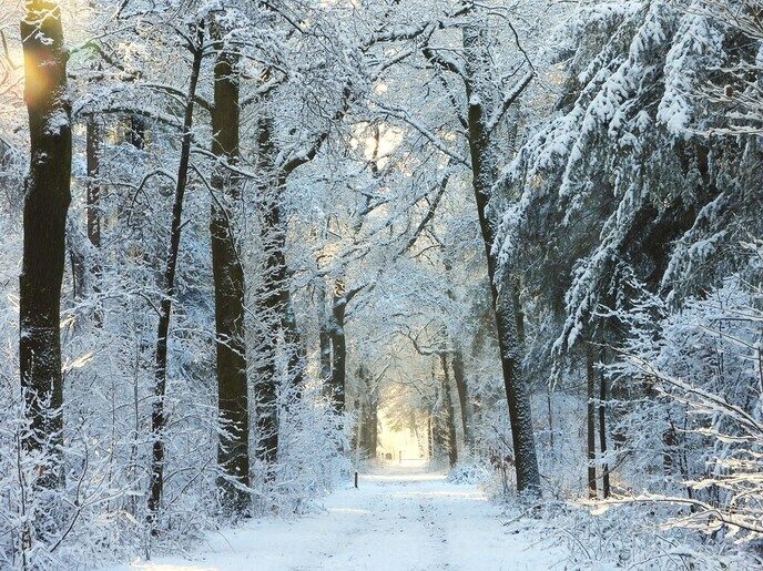 Foto’s sneeuw Dag 2 dinsdag en Map 2 - Foto: Eigen geleverde foto