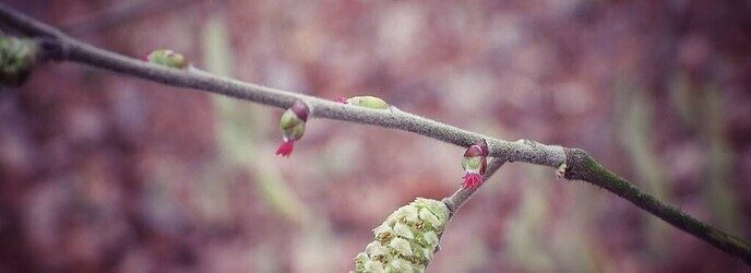 Waarnemingen van de natuurfotograaf - Foto: Femmie Smink