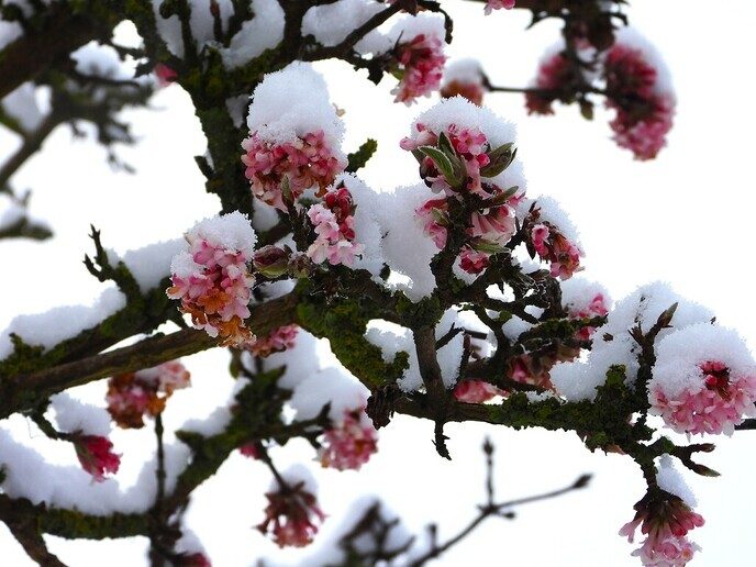 Foto’s sneeuw Dag 2 dinsdag en Map 2 - Foto: Eigen geleverde foto