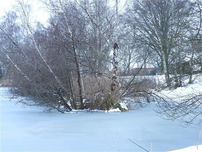 Foto’s sneeuw: Dag 4 donderdag en Map 1 - Foto: Ingezonden foto