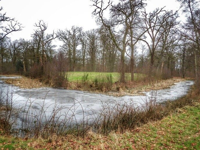 Ommerschans op de foto tijdens wandeling - Foto: Femmie Smink
