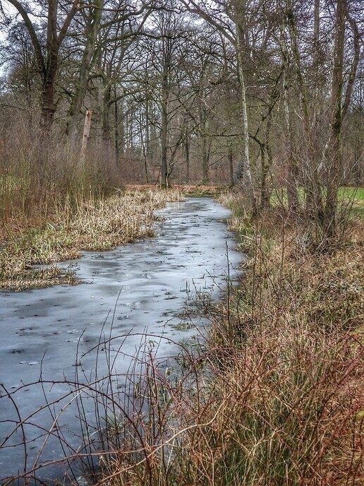 Ommerschans op de foto tijdens wandeling - Foto: Femmie Smink