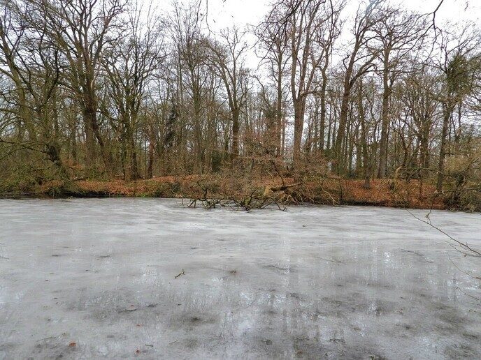 Ommerschans op de foto tijdens wandeling - Foto: Femmie Smink