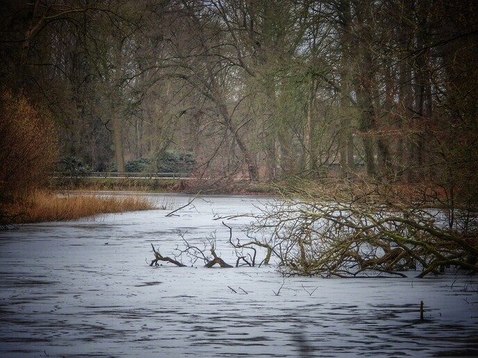 Ommerschans op de foto tijdens wandeling - Foto: Femmie Smink