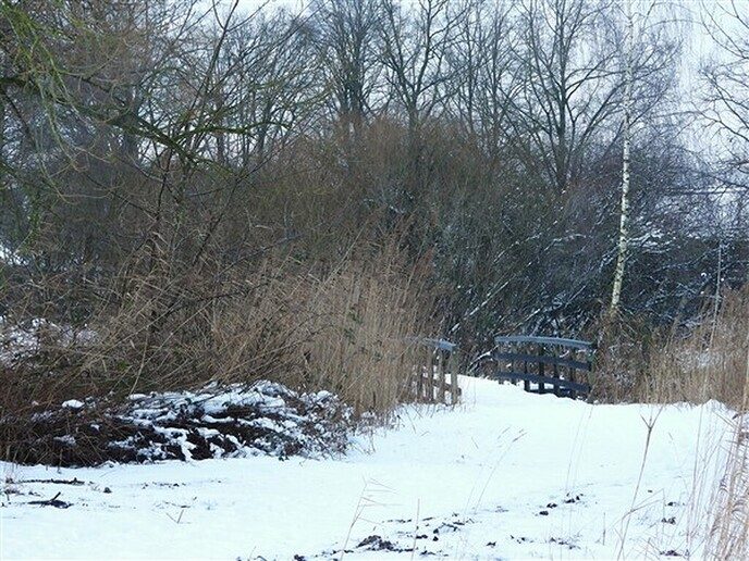 Foto’s sneeuw: Dag 4 donderdag en Map 1 - Foto: Ingezonden foto