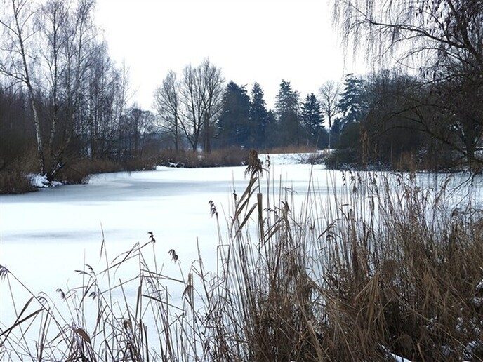 Foto’s sneeuw: Dag 4 donderdag en Map 1 - Foto: Ingezonden foto