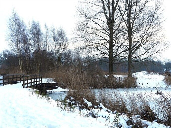 Foto’s sneeuw: Dag 4 donderdag en Map 1 - Foto: Ingezonden foto