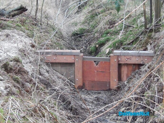 Stuw aangelegd midden in het bos (update) - Foto: Willy
