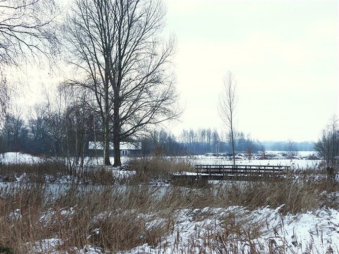 Foto’s sneeuw: Dag 4 donderdag en Map 1 - Foto: Ingezonden foto