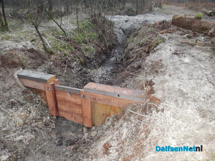 Stuw aangelegd midden in het bos (update) - Foto: Willy