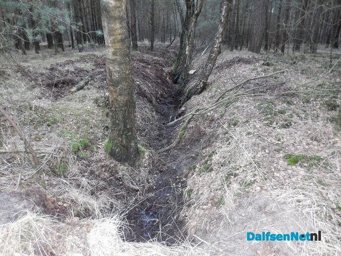Stuw aangelegd midden in het bos (update) - Foto: Willy