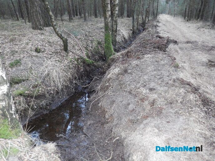 Stuw aangelegd midden in het bos (update) - Foto: Willy