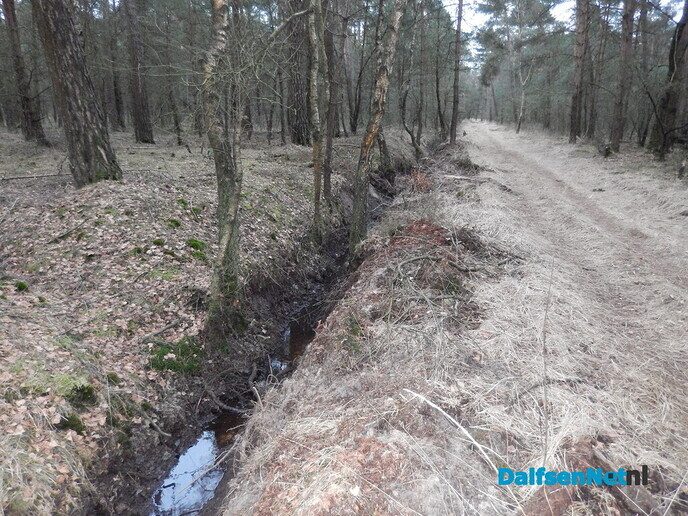 Stuw aangelegd midden in het bos (update) - Foto: Willy
