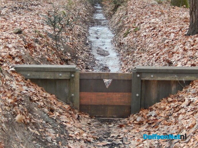 Stuw aangelegd midden in het bos (update) - Foto: Willy