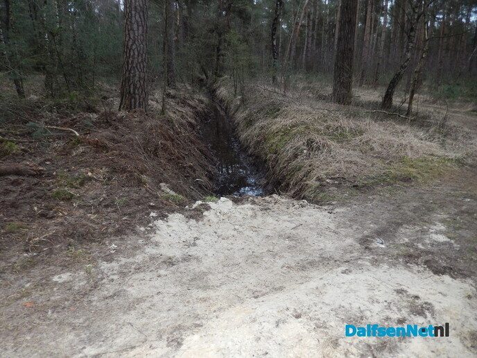 Stuw aangelegd midden in het bos (update) - Foto: Willy