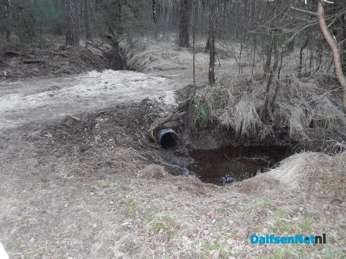 Stuw aangelegd midden in het bos (update) - Foto: Willy