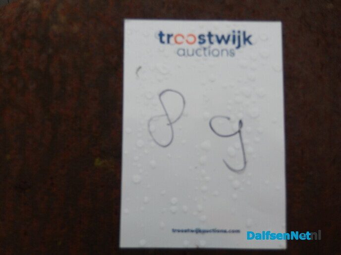 Online Veiling? - Foto: Willy