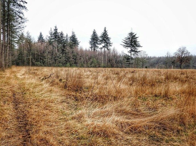 Het was ijzig koud in Witharen - Foto: Femmie Smink