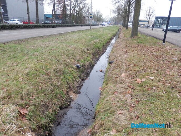 Rattenbestrijden - Foto: Willy