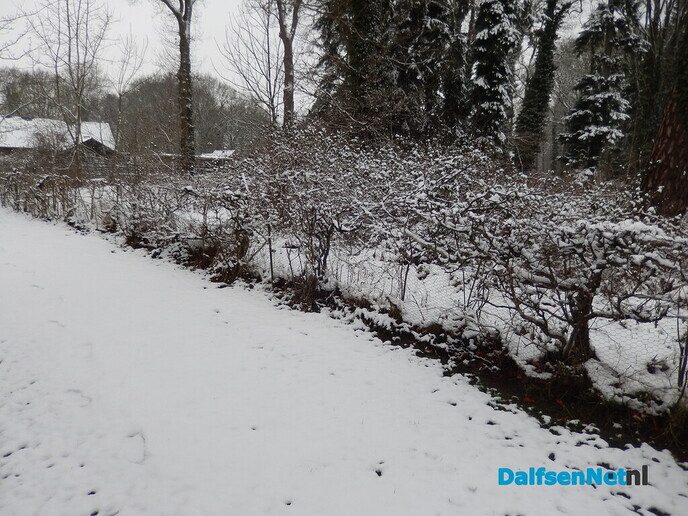 De natuur was weer mooi vandaag - Foto: Willy
