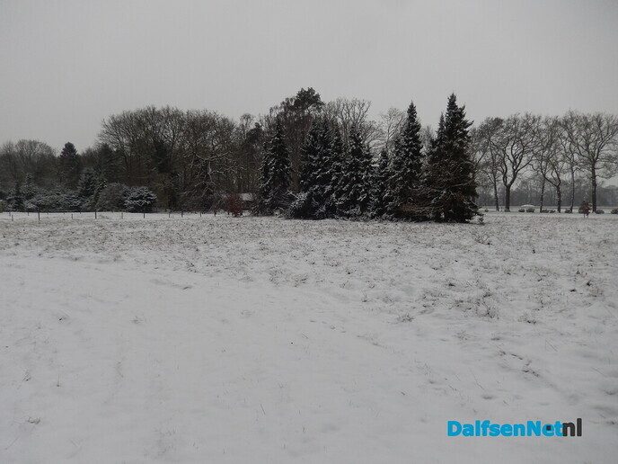De natuur was weer mooi vandaag - Foto: Willy