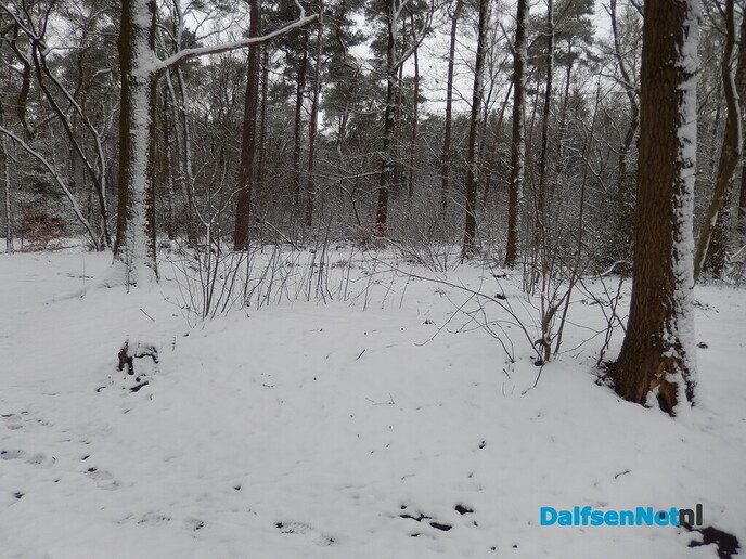 De natuur was weer mooi vandaag - Foto: Willy