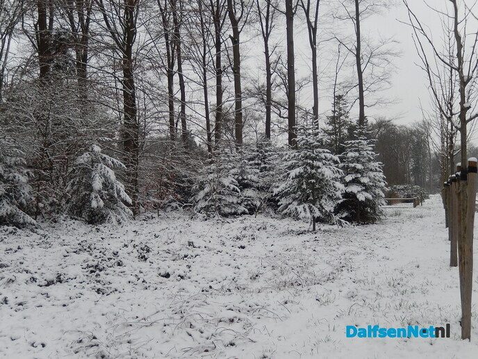 De natuur was weer mooi vandaag - Foto: Willy