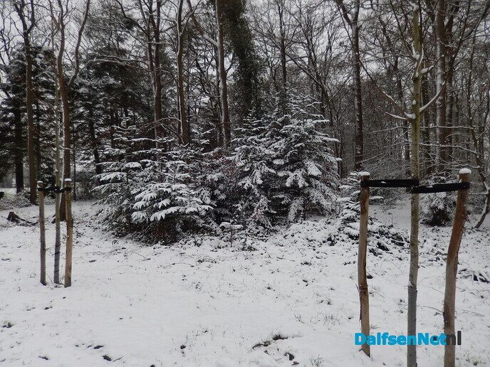 De natuur was weer mooi vandaag - Foto: Willy