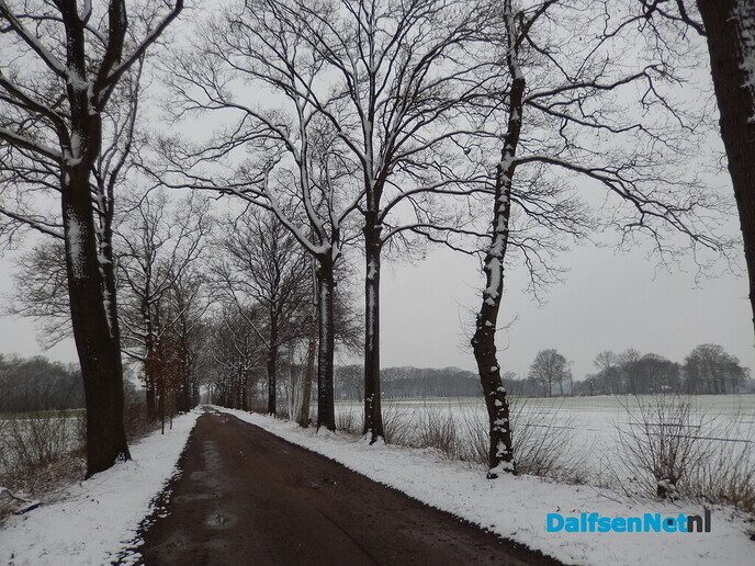 De natuur was weer mooi vandaag - Foto: Willy