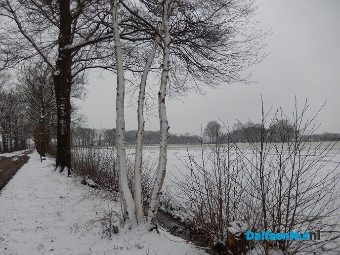 De natuur was weer mooi vandaag - Foto: Willy
