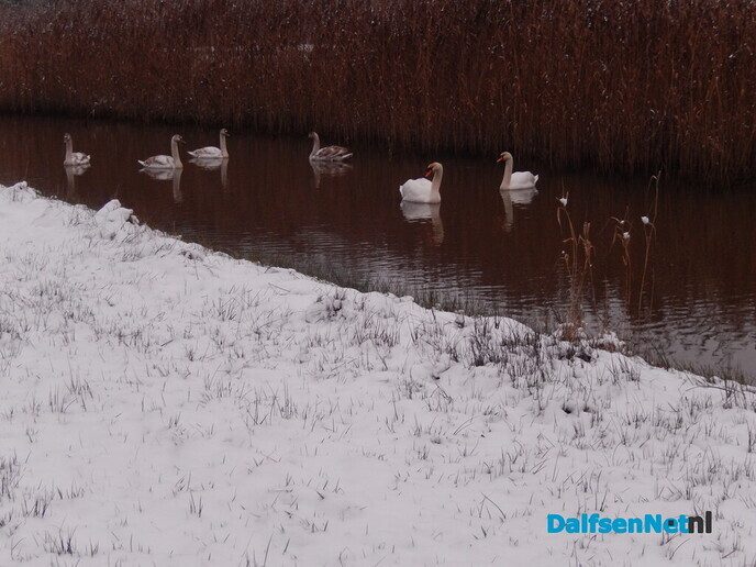 De natuur was weer mooi vandaag - Foto: Willy