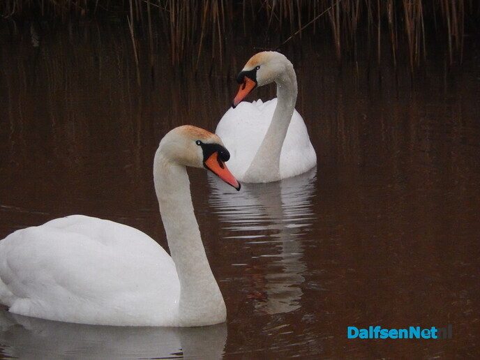 De natuur was weer mooi vandaag - Foto: Willy