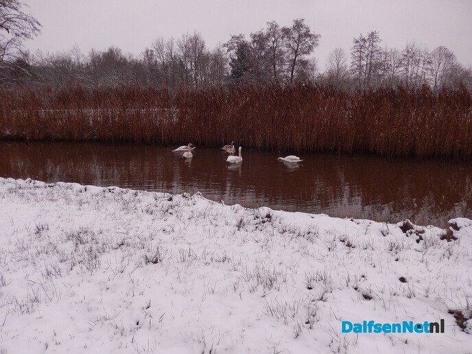 De natuur was weer mooi vandaag - Foto: Willy
