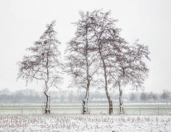 Beelden vanuit de tuin van de Hulsterplas, alsof het echt winter was - Foto: Femmie Smink
