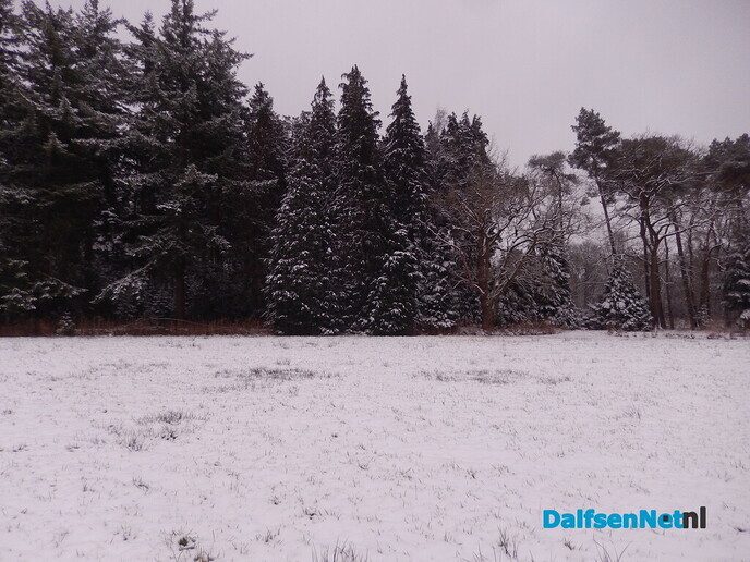 De natuur was weer mooi vandaag - Foto: Willy