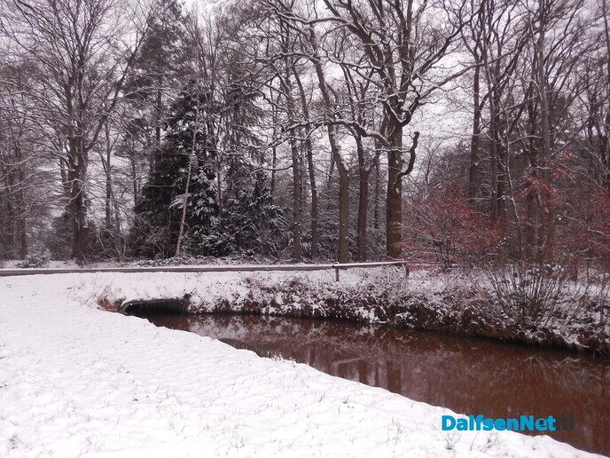 De natuur was weer mooi vandaag - Foto: Willy