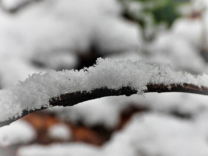 Beelden vanuit de tuin van de Hulsterplas, alsof het echt winter was - Foto: Femmie Smink