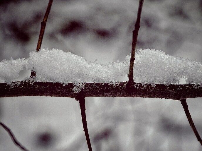 Beelden vanuit de tuin van de Hulsterplas, alsof het echt winter was - Foto: Femmie Smink