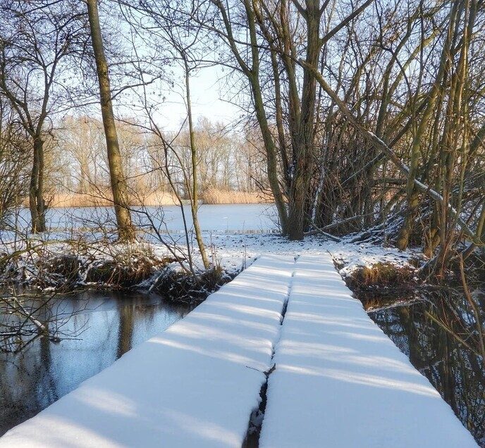 Ook bij Bijkersplas, Brouwersgat in Vinkenbuurt had het gesneeuwd - Foto: Femmie Smink