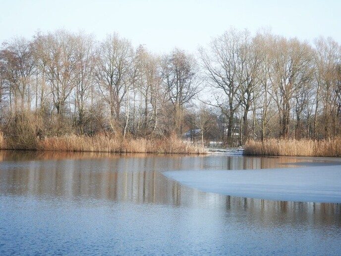Ook bij Bijkersplas, Brouwersgat in Vinkenbuurt had het gesneeuwd - Foto: Femmie Smink