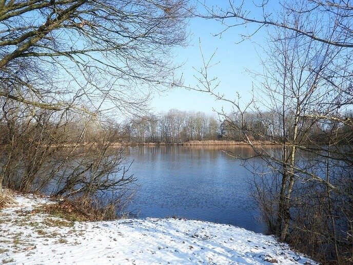 Ook bij Bijkersplas, Brouwersgat in Vinkenbuurt had het gesneeuwd - Foto: Femmie Smink