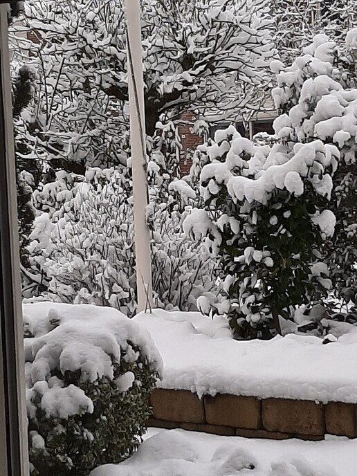Foto’s sneeuw: Dag 4 donderdag en Map 1 - Foto: Ingezonden foto