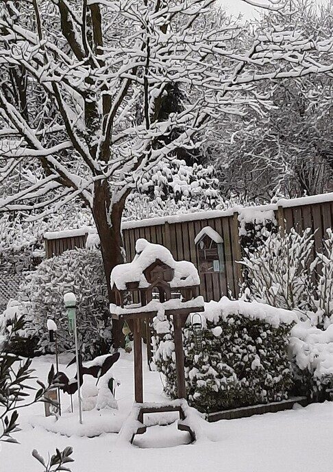 Foto’s sneeuw: Dag 4 donderdag en Map 1 - Foto: Ingezonden foto
