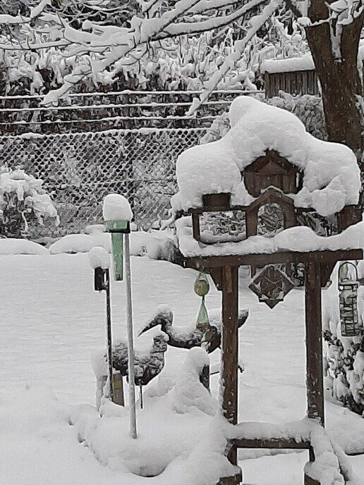 Foto’s sneeuw: Dag 4 donderdag en Map 1 - Foto: Ingezonden foto