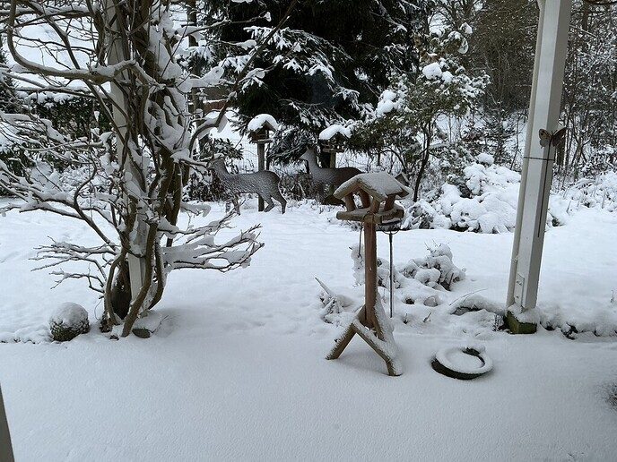  Foto’s sneeuw: Dag 3 woensdag en Map 2 - Foto: Ingezonden foto