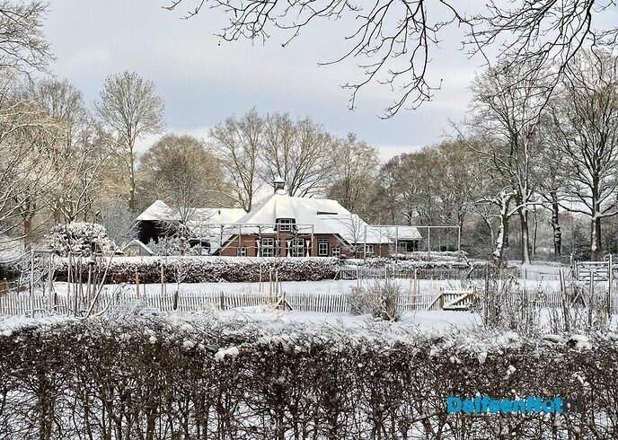 Net een kerstkaart - Foto: Ingezonden foto